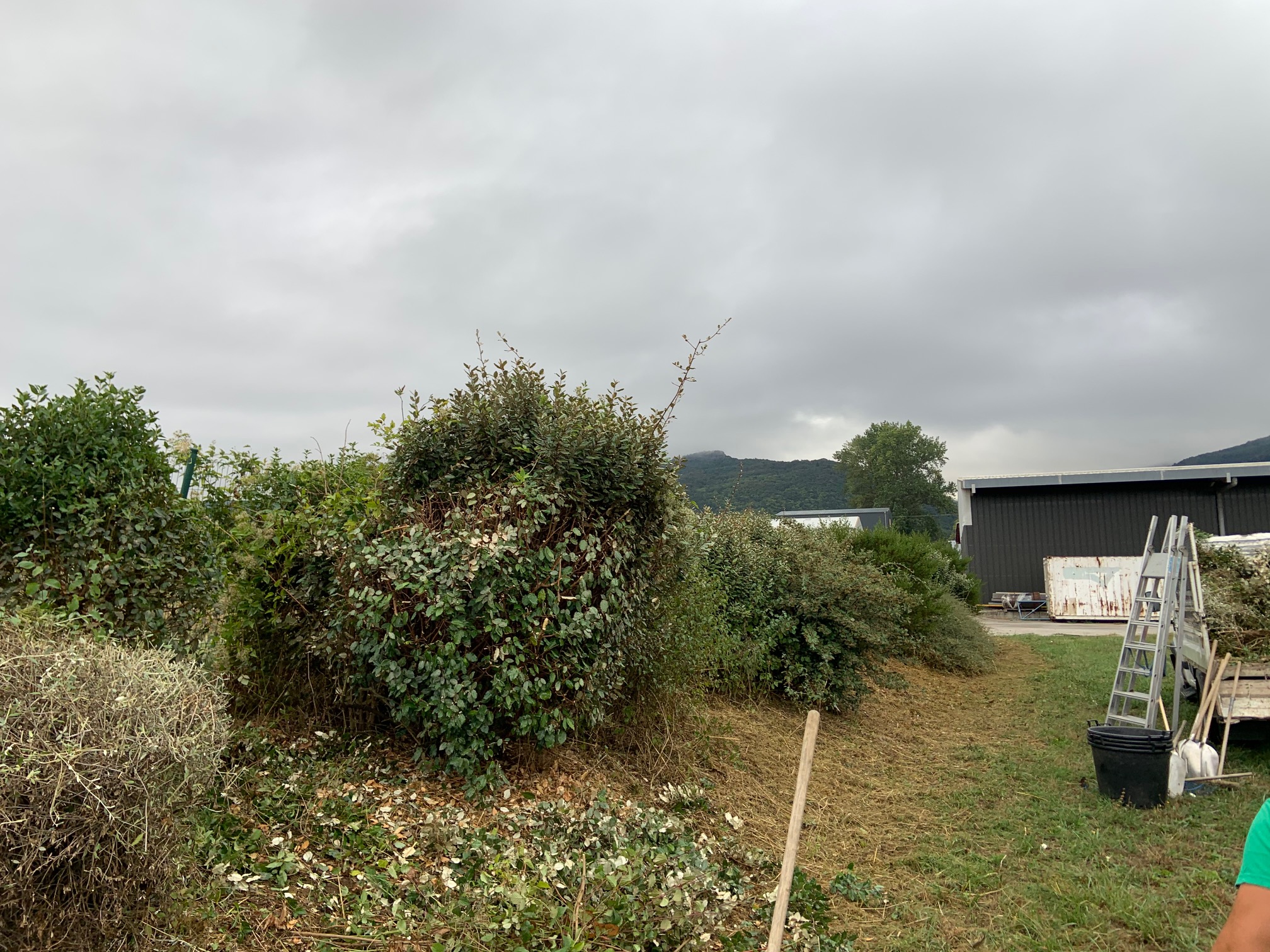 Le massif avant et après intervention